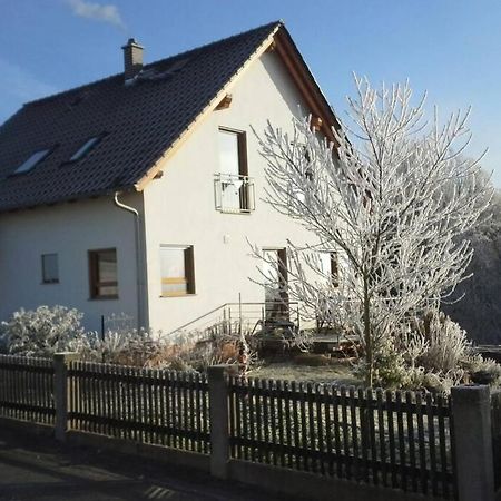 Appartment Am Traetzhof Фулда Екстериор снимка